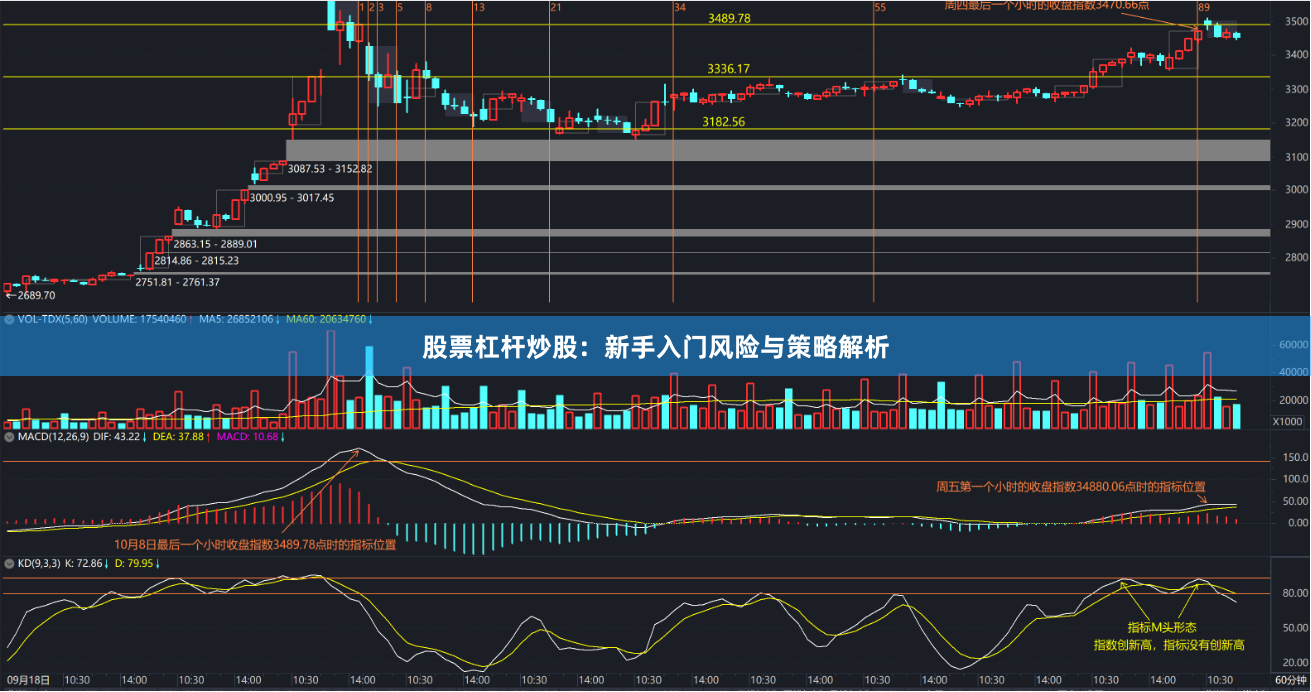 股票杠杆炒股:新手入门风险与策略解析